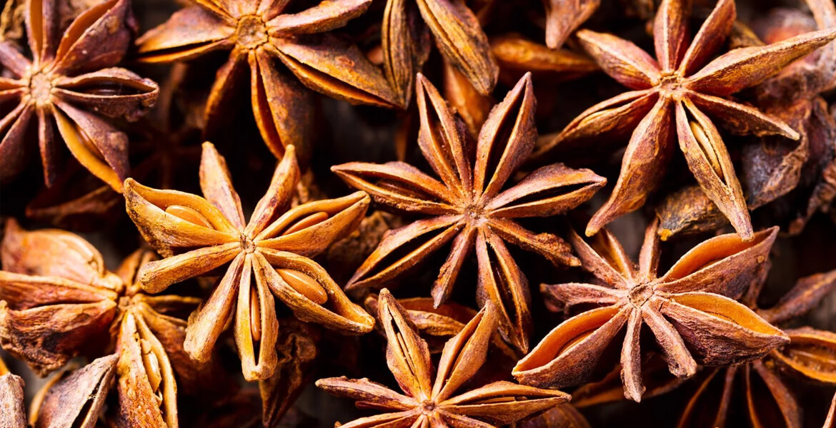 China-star-anise-seed-suppliers-in-Dubai