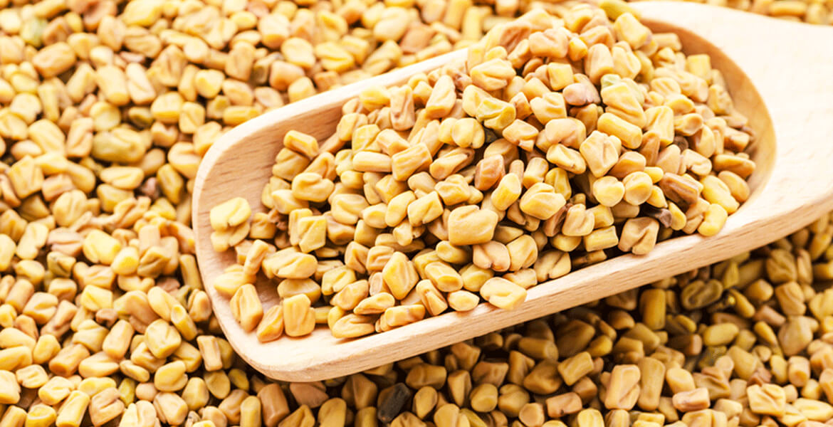 Indian-fenugreek-seed-suppliers-in-UAE 